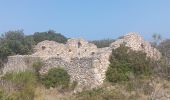 Trail Walking Leucate - franki plage - phare leucate - hommage aux pompiers de l'aude - Photo 17