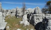 Excursión Senderismo Courmes - Tour du plateau de Saint Barnabé - Photo 2