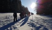 Tour Wandern Divonne-les-Bains - A Jura - lundi 20/01/2020 - rando de l'après-midi - les Copettes - Photo 1