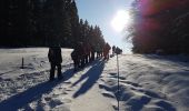 Percorso Marcia Divonne-les-Bains - A Jura - lundi 20/01/2020 - rando de l'après-midi - les Copettes - Photo 1