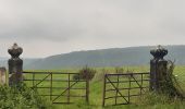 Tour Wandern Esneux - esneux eglise . hony . mery . crevecoeur . avionpuits . fontin . le fy . eglise - Photo 5