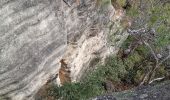 Trail Walking Saumane-de-Vaucluse - saumane et ses environs - Photo 9