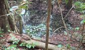 Tour Wandern Rivière-Salée - Rivière Salée - Les Trois-Ilets - Le Défi 2025 - Photo 16