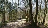 Trail On foot La Roche-en-Ardenne - 6.A l'Ewe - Photo 3