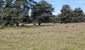 Tour Wandern Chanac - Rando..Chanac..Causses de Sauveterre..16/05/2024 - Photo 20