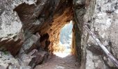 Trail Walking Le Valtin - Col de la Schlucht - sentier des Roches - Petit Honneck - Honneck - Trois Fours - Photo 6