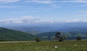 Trail Walking Bassurels - Observatoire Mont Aigoual / Meyrueis - Photo 14