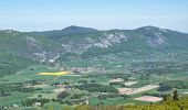 Randonnée Marche Saint-Agnan-en-Vercors - Col de Rousset - Le But de Nève - Photo 13