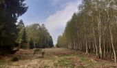 Trail Walking Aywaille - ninglinspo . chefna . fond de quareux  - Photo 14
