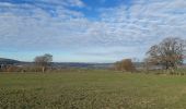 Tocht Stappen Lierneux - lierneux . promenade aérienne dans la vallee de la lienne - Photo 13