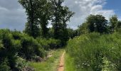 Tocht Noords wandelen Habscht - Grande boucle Clairfontaine - Photo 1