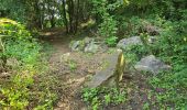 Tocht Stappen Nogent-le-Bernard - Nogent-le-Bernard - Menhir de Courtevrais - Photo 6