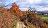 Trail Walking Vernon - Les falaises de Seine de Vernon à Mantes la Jolie - Photo 8