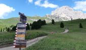 Trail Walking Santa Cristina Gherdëina - St. Christina in Gröden - Santa Cristina Valgardena - Seceda - Photo 8