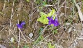 Tour Wandern Arbéost - boucle au Soulor - Photo 1