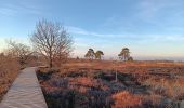 Tocht Stappen Spa - petit tour de berinzenne via croix Pottier - Photo 9