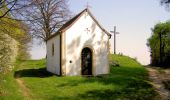 Tour Zu Fuß Vilseck - Amberger Weg - Photo 8