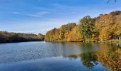 Tour Wandern Versailles - Étangs de la Minière  - Photo 1