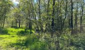 Randonnée Marche Theux - Polleur Fagnes de Malchamps 31,7 km - Photo 7