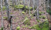 Percorso Marcia Stoumont - stpumont - froudcour aller via sentier corniche retour le long de l ambleve - Photo 16