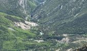 Tour Wandern Castellane - Chasteuil - Cadières de Brandis - Photo 11