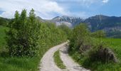 Trail Walking Glandage - L'Aupillon (Glandage) - Photo 9