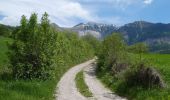 Tocht Stappen Glandage - L'Aupillon (Glandage) - Photo 9