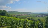 Trail Walking Kaysersberg-Vignoble - Du ⛺️ aux 4 villages - Photo 7