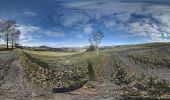 Percorso A piedi Gersfeld - Rhön-Rundweg 4 Gersfeld - Photo 10