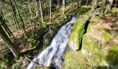 Tour Wandern Lepuix - Malvaux - Ballon d'Alsace (15/12 au 15/7) - Photo 5