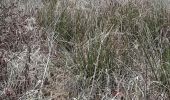 Trail Walking Marche-en-Famenne - wex ac 2 - Photo 2