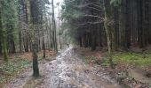 Trail Walking Theux - autour de croixpapet et vert-buisson - Photo 10