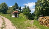 Tour Wandern Oberkirch -  Rennersteig - Photo 9