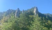 Tour Wandern Gorges du Tarn Causses - Camping les osiers fraissinet par les moines -moujiks - Photo 8