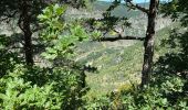 Trail Walking Gorges du Tarn Causses - Saint Chely 17 km - Photo 7
