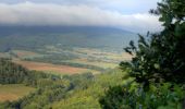 Randonnée A pied Meißner - Kupferbachtal und Wellingeröder Höhe - Photo 10