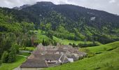 Trail Walking Le Reposoir - Col des Annes du Reposoir - Photo 7