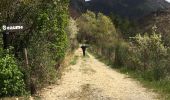 Tour Wandern Saillans - Cresta - Photo 2