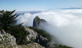 Tour Wandern La Chapelle-du-Mont-du-Chat - DENT DU CHAT & MOLARD NOIR - Photo 7