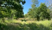 Randonnée Marche Vieux-Moulin - en foret de Compiègne_38_07_2021_sur la Route Eugénie - Photo 17