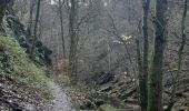 Tocht Stappen Malmedy - xhoffray .reinhardstein . carrière de la wache  . xhoffray  - Photo 13