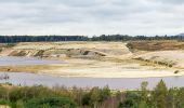 Randonnée A pied Maasmechelen - Mechelse Heide Blauwe ruit - Photo 10