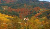 Percorso A piedi Lautenbach - Lautenbacher Hexensteig - Photo 9