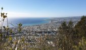 Trail Walking Saint-Denis - sentier Marmaille St Denis La Vigie - Photo 1
