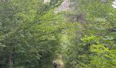 Trail  Châtelus - Grotte de Pabro pas des Voûtes  - Photo 13