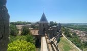 Tocht Stappen Carcassonne - Carcassonne Cité  - Photo 2