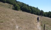 Trail Walking Goldbach-Altenbach - Firstacker - Grand Ballon (11/08/2022) - Photo 5