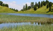 Randonnée Marche Ceillac - Ceillac - Lacs Miroir, des Rouits et Ste Anne - Photo 14