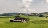 Tour Zu Fuß Moosburg - Karawankenblickrundweg - Photo 1