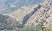 Trail Walking Tartonne - 2024-04-12 Tartonne Montagnr de Pigibert - Photo 3